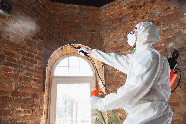 Best Forensic Mold Investigation  in , SD